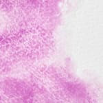 Permanent Cobalt Violet